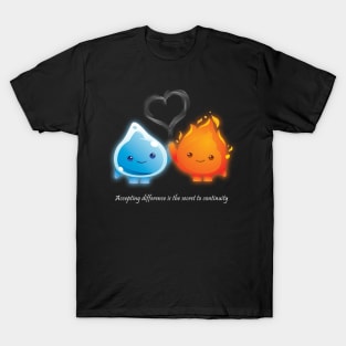 Accepting difference is the secret to continuity T-Shirt